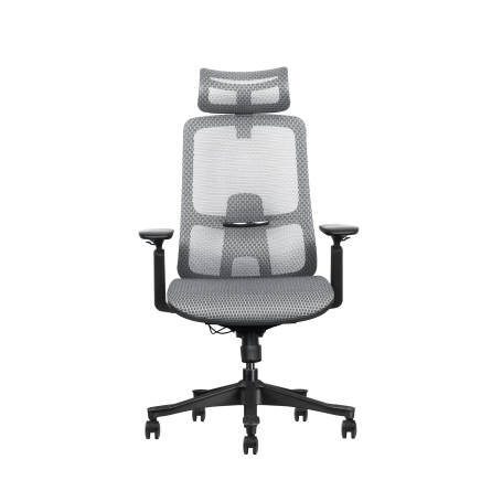 Ergonomic Chair, grey, mesh, 43-54 cm, assembled