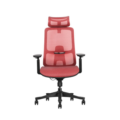 Ergonomic Chair, red, mesh, 43-54 cm, assembled