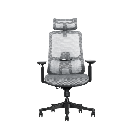 Chaise de bureau ergonomique, gris, mesh, 49-60 cm